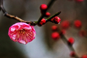 D8303FDE-DC55-48F5-B78B-12B1D0D46676/L0/001