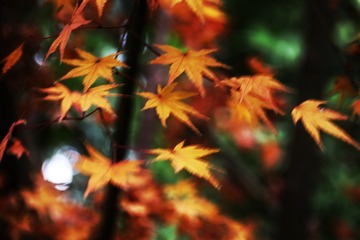 8DB14A09-3246-4179-B28A-6E9E7DE1D51F/L0/001
