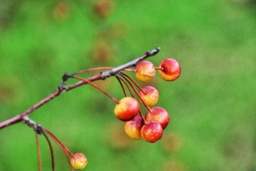 01083130-034F-4C6A-B5A0-72E8755A2FB5/L0/001