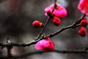 94FD8980-8DD1-436D-9061-1507A8793FD5/L0/001