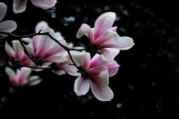 F5B8E3E4-D3EB-4F4C-B648-D471EC240B12/L0/001