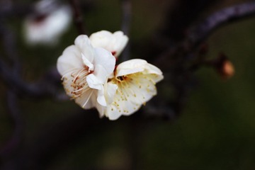 C9BEE319-26F6-4204-AB00-61A60423CF09/L0/001