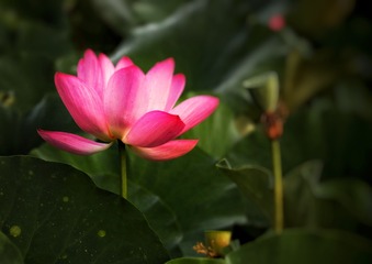 CE39F162-4C18-48B7-B062-E36A7E0A45B1/L0/001