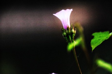 501B2AB1-3AB7-4660-BD2C-8287A62964E5/L0/001