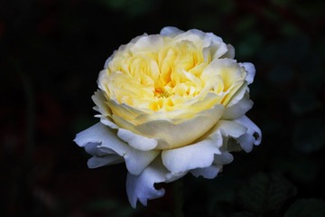 3521C72E-7F79-404F-A5AC-E72B1B8F27EA/L0/001