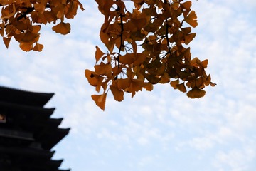 C9F2B0BC-5FA2-48B3-9E90-C8FE79731F06/L0/001
