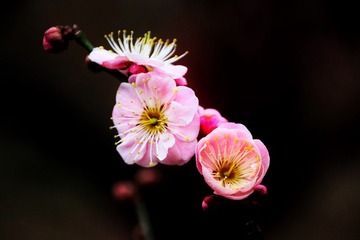 001
