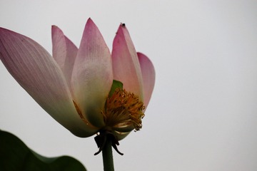 6344F5E7-EB31-4F3A-88F3-0CC55CC31824/L0/001