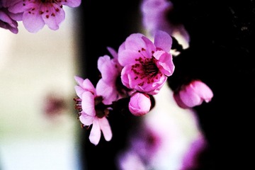 980150B7-82CB-4DE4-B7FD-3C39301B7A5B/L0/001