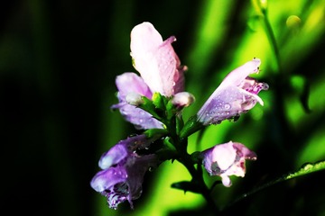 F6488ECF-F8B4-4457-B257-551178480740/L0/001