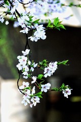 02CA1E52-EE02-4868-9AB2-5F4A7AE1E562/L0/001