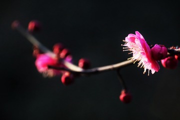 A5674394-F0D3-4B36-B1B3-4FC224D2AC2A/L0/001