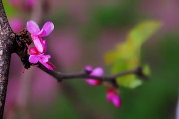 7239C98D-3EF8-4073-B773-4CC4B43B6000/L0/001