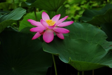 F1A25D2F-9E66-40A9-9295-23336501F4BD/L0/001