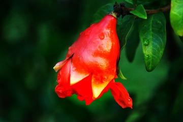 B09AFF25-059F-4CAD-8C28-2D0FE9BE771F/L0/001