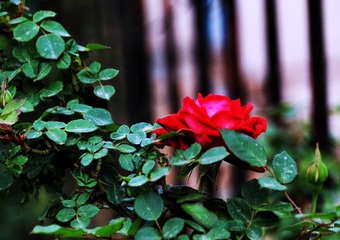 384009CE-7363-4A10-9C08-48710DBAA89B/L0/001