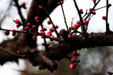 BA958D30-64B7-4D14-8309-56F515B4262F/L0/001