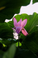 AB83901A-9A54-48AB-B33D-0FBB6523B75B/L0/001