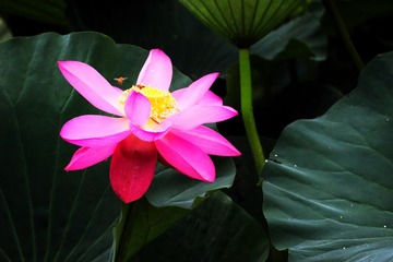 F2630CC0-95AE-4798-9A95-2A29DF604A97/L0/001