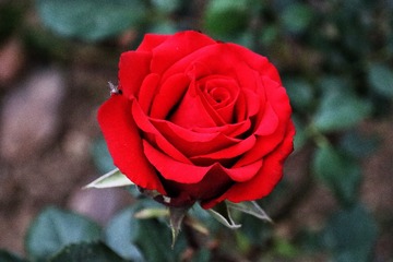 47D04439-1A1C-4421-A243-C6D5B20A647A/L0/001