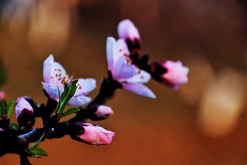 59D74B3E-F9E4-43FF-A9AA-16254362AF60/L0/001