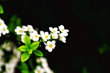6C41B17C-A972-4287-87E9-75488E5E32A9/L0/001