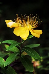 C42CBEBD-9B98-4022-A40F-EBA190153BE4/L0/001