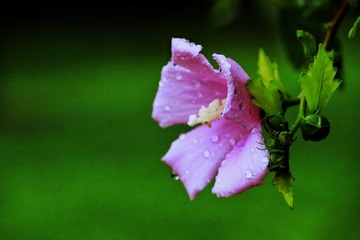 93B9044F-9C2A-4680-BF49-124F68CB03D9/L0/001
