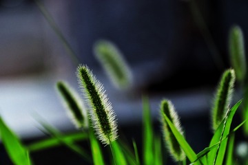 2D4D3D5F-13C0-4381-BFFD-D72638438FD1/L0/001