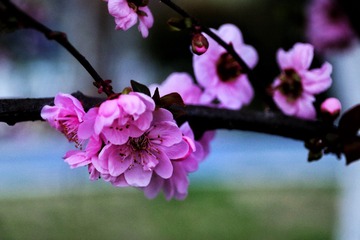 89F25FE8-A88B-4FB7-958D-C47760D346C0/L0/001