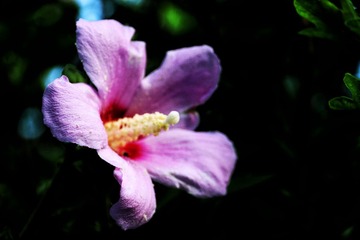 4269B864-C88A-4FF6-B902-94134ED6F8BD/L0/001