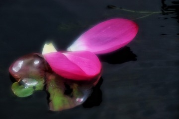 F395BFC0-FD5C-40DA-94C4-2F514370A569/L0/001