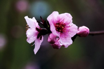 D2882FF3-AC18-4D92-A775-26031BD19085/L0/001