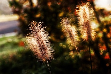 0C4094F6-ADD9-4800-9A09-75905B97744B/L0/001
