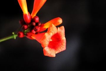 B63CD813-0B4E-4538-97D4-89378328BB71/L0/001