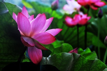 C0275DC0-1382-4F75-AF76-749CF1C58CB2/L0/001