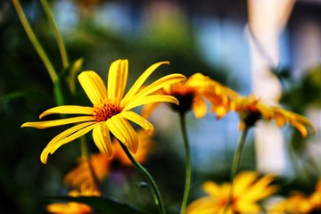 6D9676EF-4B60-493A-9532-1E2719805D07/L0/001