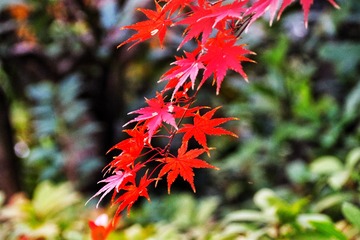 08B27670-F1F2-40EA-94C3-A429F4B3AD26/L0/001