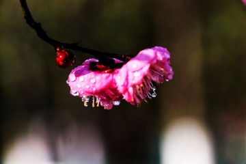 71D103D0-15EC-4594-9FE2-E578423DF2AE/L0/001