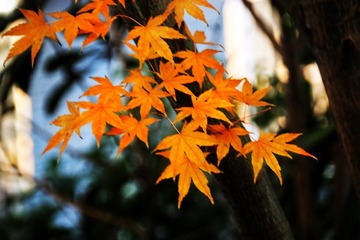52667153-3D5F-4493-B0E6-8D3DD1941866/L0/001