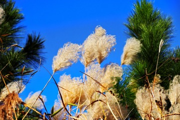 6DC326C9-5C6D-4371-A68C-640438B73732/L0/001