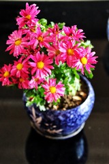 78659275-C6E1-4377-95A9-B2C2BD781E55/L0/001