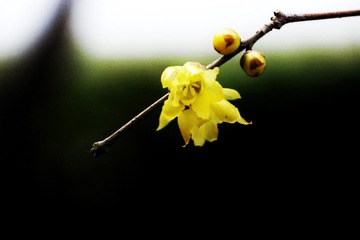5113B6D9-9D77-46C6-A7F9-481638F14DAC/L0/001