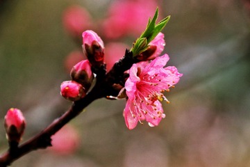 1FFB9A57-5F67-4FD3-BF0F-1A2B006902DC/L0/001
