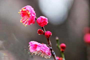 6C46EF0B-66EF-48C4-AB12-9B7788991A10/L0/001
