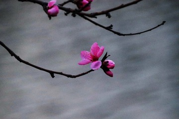 F978764D-DDCC-4347-858A-0B3587657E5E/L0/001