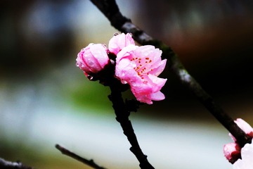 6D610F6D-075D-4CC8-ACB7-22A54A1D3F73/L0/001