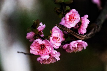 73AAF4E1-56B8-45C1-B049-2BBD443313CC/L0/001
