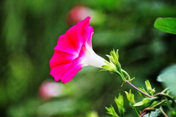 A1A03B8A-E848-49DF-8FE8-D2C907BD4DA8/L0/001