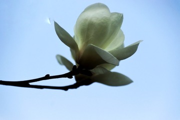 5469A0CD-7A0E-4344-B931-741F00C6CD48/L0/001